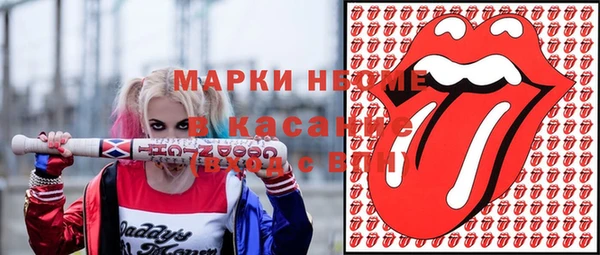 молекула духа Арсеньев