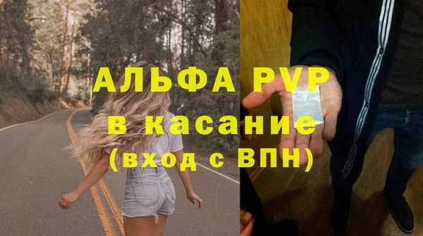 молекула духа Арсеньев