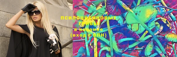 молекула духа Арсеньев