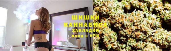 молекула духа Арсеньев