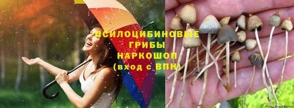 герыч Аркадак