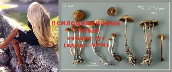 герыч Аркадак
