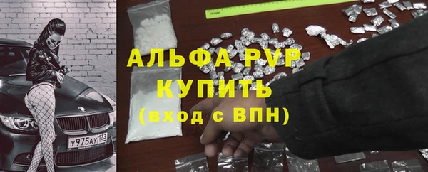 молекула духа Арсеньев