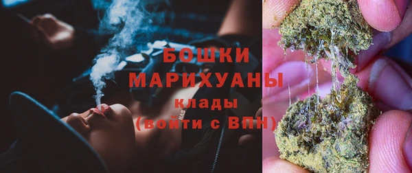 молекула духа Арсеньев