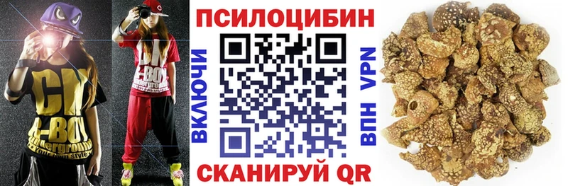 Псилоцибиновые грибы мухоморы  Дзержинский 