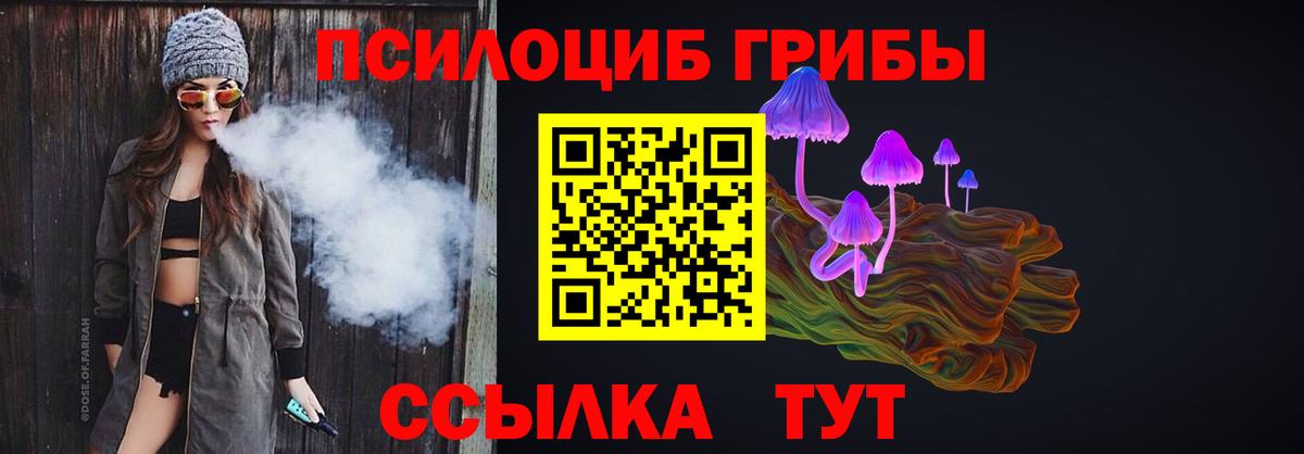 купить   Галлюциногенные грибы Psilocybe  Вход с VPN  Дзержинский  Галлюциногенные грибы Psilocybine cubensis 