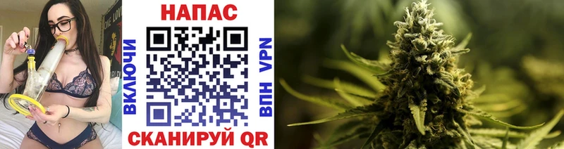 ссылка на мегу вход  где купить наркоту  Дзержинский  Шишки марихуана THC 21% 